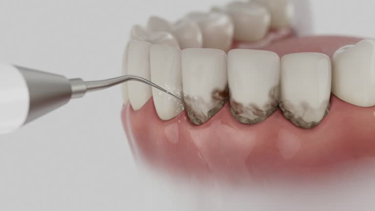 Reliable Dental contractor in Everett, WA by Dentist Open Now